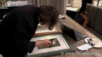 Grootste veilinghuis ter wereld strijkt neer in Schilde