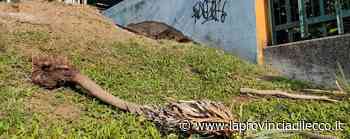 Lecco. «Si apre l'ostello Ma nella zona avanza il degrado» - La Provincia di Lecco