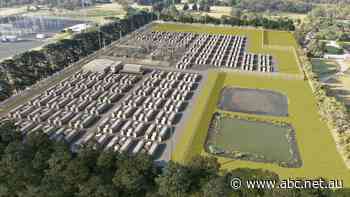 'We're faffing about here in Australia': Calls for further climate action ahead of Glasgow conference