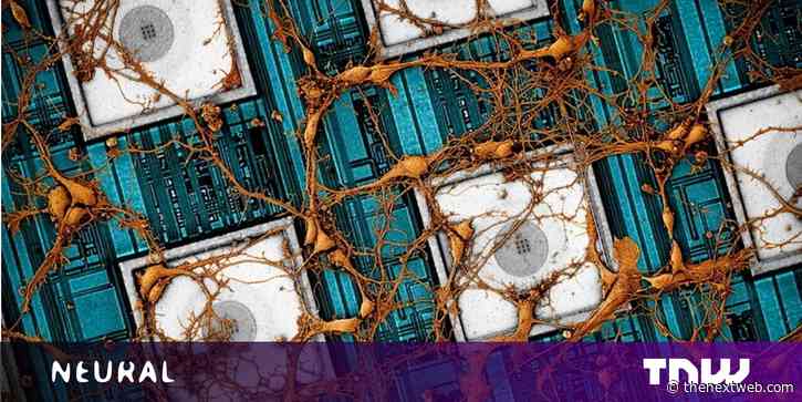 Scientists want to ‘copy and paste’ the human brain onto a computer chip