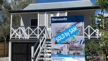 Last year Australia ran a real-life housing affordability experiment that produced some very odd results