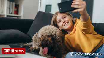 Instagram for kids paused after backlash