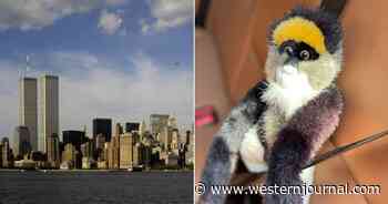 20 Years After 9/11, Man Attempts to Locate Toddler Who He Says Dropped Stuffed Animal During Escape