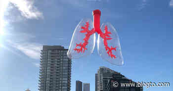 A giant pair of lungs will float over a Toronto park this week - blogTO
