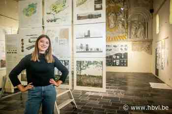 Winnares Wanatoeprijs vult eerste expo met … werk van anderen: “Ideeën belangrijkst” - Het Belang van Limburg