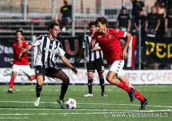 Il Varese in cerca di conferme: al “Franco Ossola” arriva il Fossano - varesenews.it