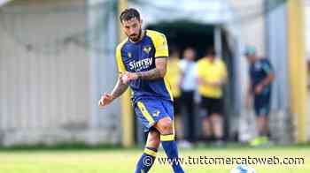 Le probabili formazioni di Genoa-Hellas Verona: Ceccherini insidia Magnani in difesa - TUTTO mercato WEB