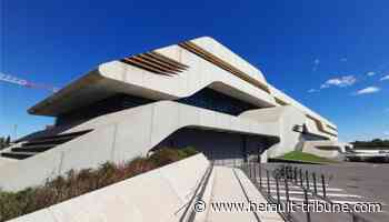 Frontignan / Montpellier : balade littéraire du FIRN avec Michel Moatti - Hérault-Tribune