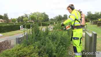 Kerkhof Lokeren krijgt dringende onderhoudsbeurt - TVOOST - TV Oost