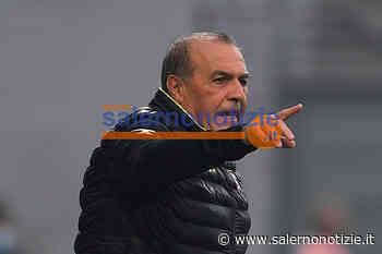 Salernitana, Castori sui carboni ardenti: sabato con il Genoa si gioca la panchina - Salernonotizie.it