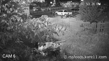 New video in Jaleel Stallings case shows what led up to shots fired and beating