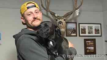Missing dog home safe after being stolen with car in Richfield