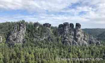 In Bohemian Switzerland, I hiked through beautiful, dense forest — and discovered a path to something deeper - mykawartha.com