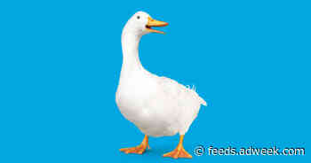 The Y2K Crisis Was the Aflac Duck’s Moment to Shine