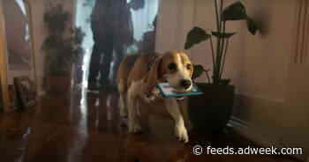 This Smartphone Just Keeps on Fallin’ and This Relatable Couple Just Keeps on Repairing It