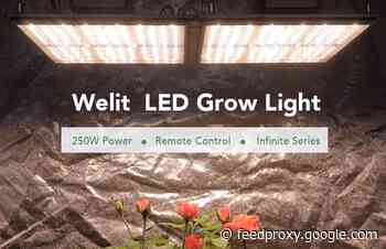 Well Lit indoor garden LED grow lights for plants