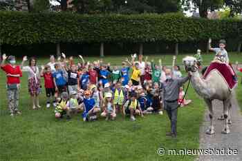 Schoolreis afgelast... dus maken schoolkinderen ritje op kameel - Het Nieuwsblad