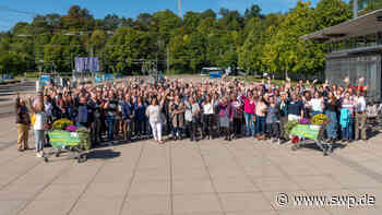 Landesgartenschau Ulm: Nicht alles kommt gut an: 150 Ulmer diskutieren die Pläne der Stadtverwaltung - SWP