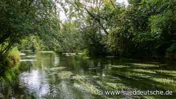 Eine Heimat für bedrohte Arten - Süddeutsche Zeitung
