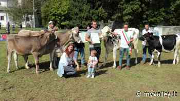 Mostra Zootecnica di Clusone: i titoli di regine e reginette vanno a Cerete - MyValley.it