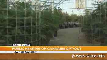 Town of Sweden to hold public meeting on opting out of recreational marijuana sales