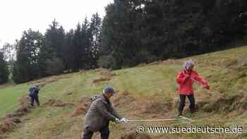 Abheuhelfer gesucht - Süddeutsche Zeitung