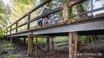 Neue Pfähle und Bohlen für Brücke und Steg - Merkur.de