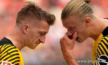 Champions League 21/22: Wer zeigt Borussia Dortmund - Sporting? - Prisma