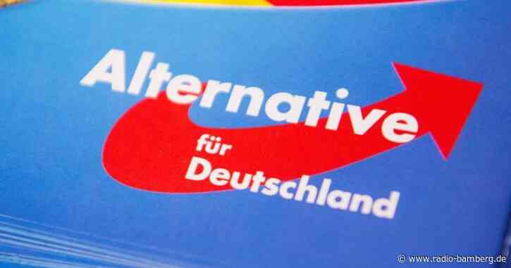 Künstlerkollektiv entsorgte AfD-Flyer