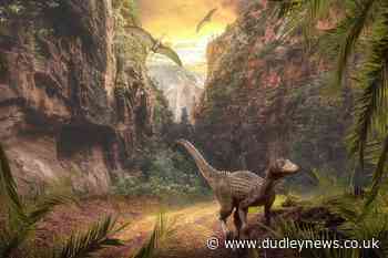 Rise of dinosaurs helped by volcanic eruptions, research suggests - Dudley News