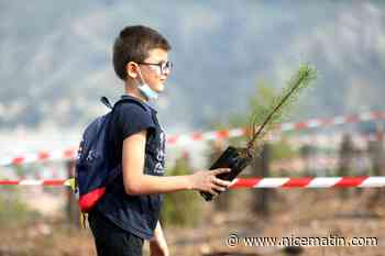 Les enfants de Carros aident à reboiser la forêt brûlée en 2017
