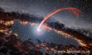 Stunning illustration shows a star being devoured by a supermassive black hole