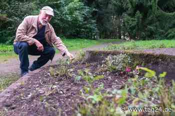 "Eine Schande!" Unkraut-Firma hinterlässt in Chemnitz ein Schlachtfeld - TAG24