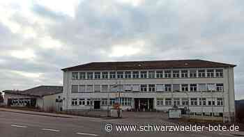 Razzia auf Bauknecht-Areal: Staatsanwaltschaft erhebt Anklage wegen Cannabis-Plantage