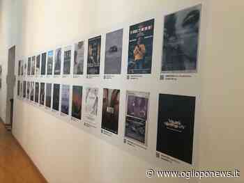 Docufilm Rugby Viadana a Caorle: Non vince, ma piace - OglioPoNews - OglioPoNews