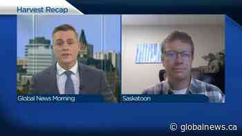 Saskatoon-area farmer recaps harvest and looks ahead to 2022