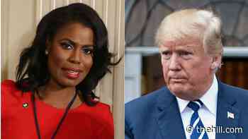 Trump loses bid to enforce Omarosa Manigault Newman's NDA