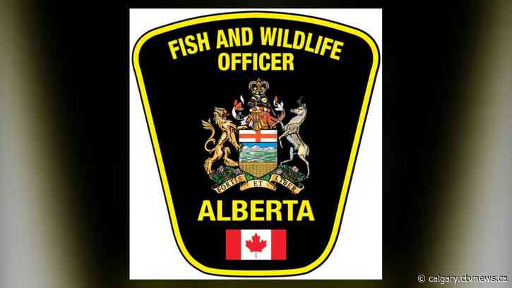 Hunter hospitalized, bear shot in southern Alberta bear attack