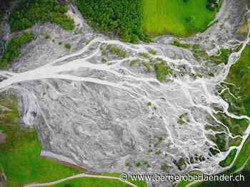 Nach dem Nein in Reichenbach – Ein Votum gegen strenge Auflagen - BZ Berner Oberländer