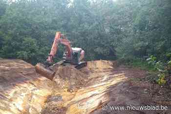 Stoeipoelen voor beschermde amfibieën waar vroeger Antwerpse stadskinderen ravotten
