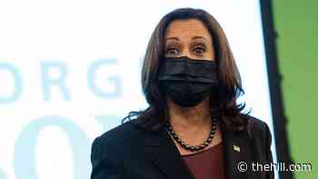 Harris rips Georgia, Texas election measures as 'inhumane'