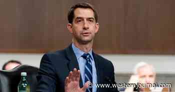 Sen. Tom Cotton Warns Just How Much Biden's Huge Spending Bill Will 'Cost All Americans'