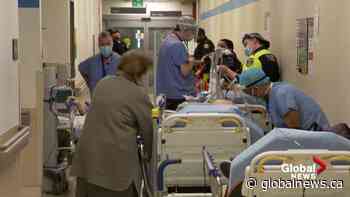 Nurses struggle to work and care for their own families