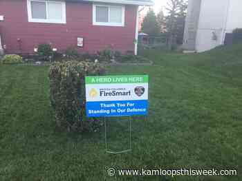 After the flames, Kamloops studying fire-mitigation techniques for the future - Kamloops This Week