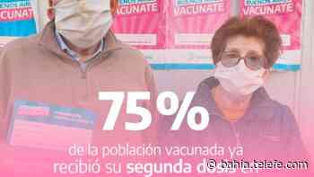 Coronavirus: En la ciudad el 75% de la población vacunada ya recibió su segunda dosis - Telefe Bahia Blanca
