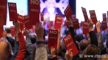 United Conservative Party removes vice-president who spoke out against Kenney's leadership