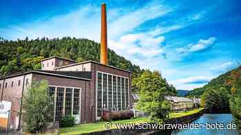 Ideenwettbewerb in Calw: Deckenfabrik: Das könnte der Durchbruch sein