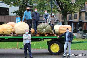 Rob Guns (CD&V) is nieuwe schepen van Onderwijs - Gazet van Antwerpen