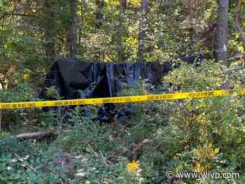 Sheriff rules out serial killer as second set of human remains found in Chautauqua County