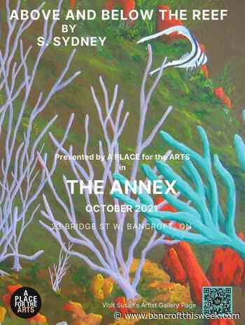 Susan Sydney exhibition on display at APFTA in October - Bancroft This Week